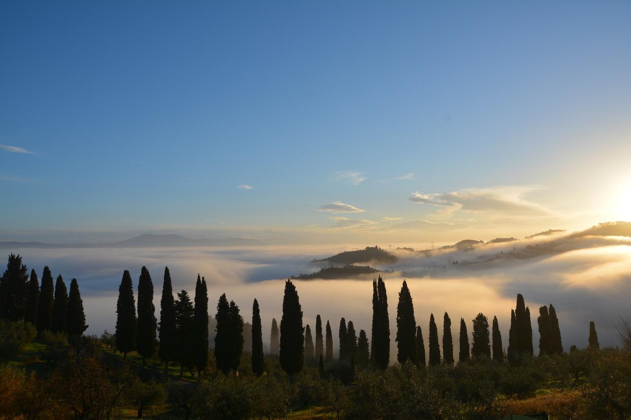 Tenuta Di Capezzana Bed & Breakfast Seano Bagian luar foto
